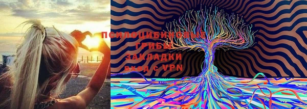 амф Балабаново